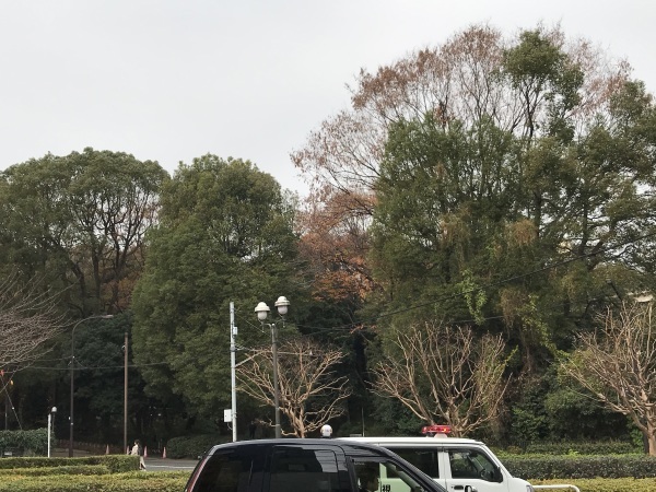 山種美術館 東山魁夷の青 奥田元宋の赤 ー色で読み解く日本画ー_e0397389_15440651.jpeg