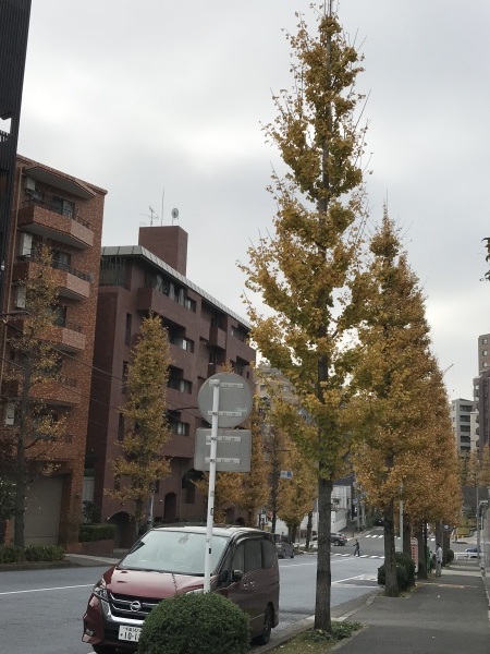 山種美術館 東山魁夷の青 奥田元宋の赤 ー色で読み解く日本画ー_e0397389_15445158.jpeg
