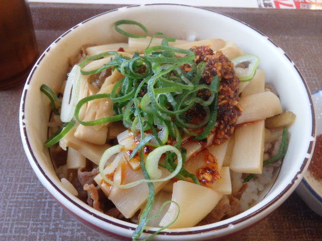 すき家の四川風食べラー・メンマ牛丼ミニ 南塚口七丁目店_c0118393_08283215.jpg