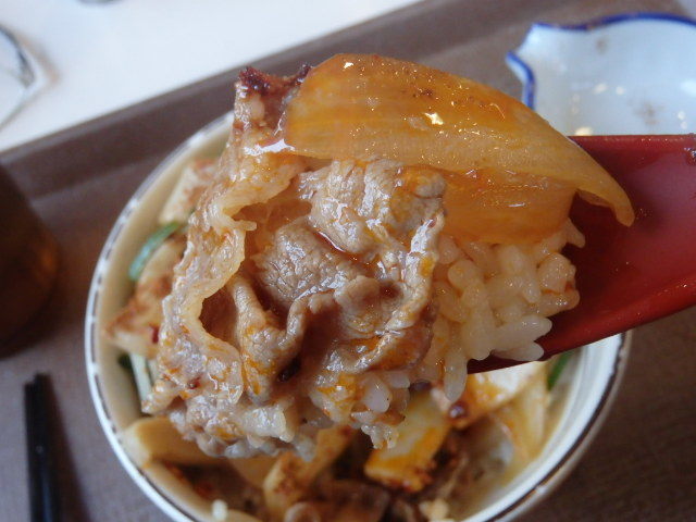 すき家の四川風食べラー・メンマ牛丼ミニ 南塚口七丁目店_c0118393_08473269.jpg