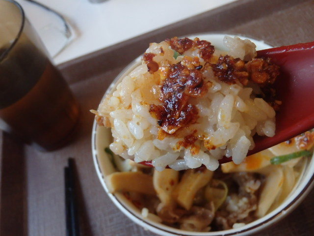 すき家の四川風食べラー・メンマ牛丼ミニ 南塚口七丁目店_c0118393_08570895.jpg