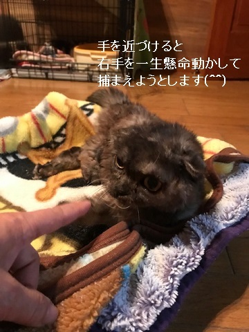 快食!快便!!_f0242002_19201635.jpg