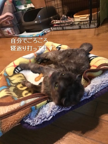 快食!快便!!_f0242002_19204893.jpg