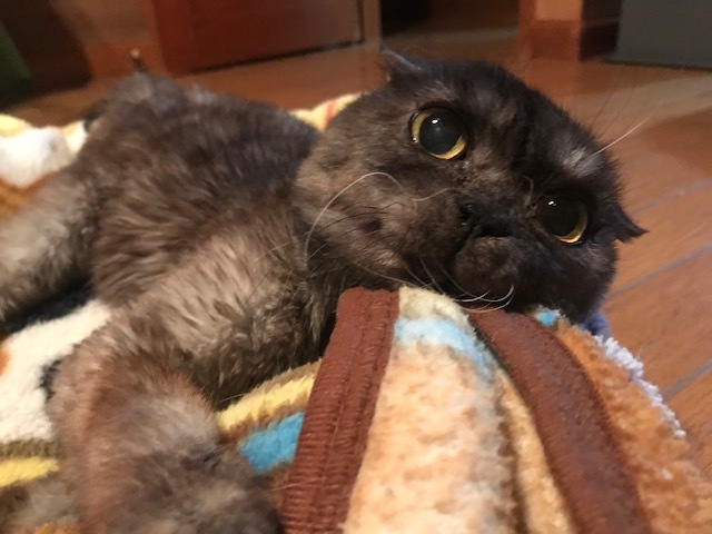 快食!快便!!_f0242002_19211522.jpg