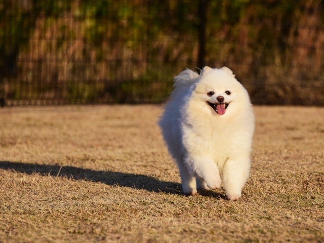 懺悔_d0360206_00315021.jpg