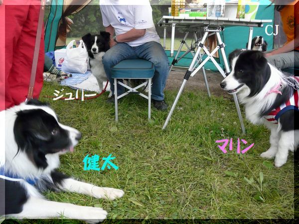 また会う日まで_d0224111_20311931.jpg
