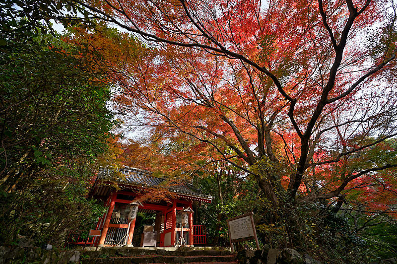 19京都の紅葉 洛西 金蔵寺 其の一 デジタルな鍛冶屋の写真歩記