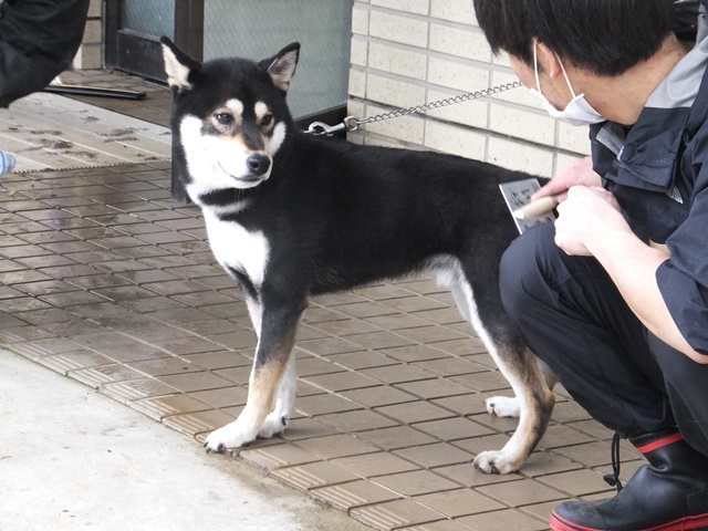 f0078320_10261673.jpg