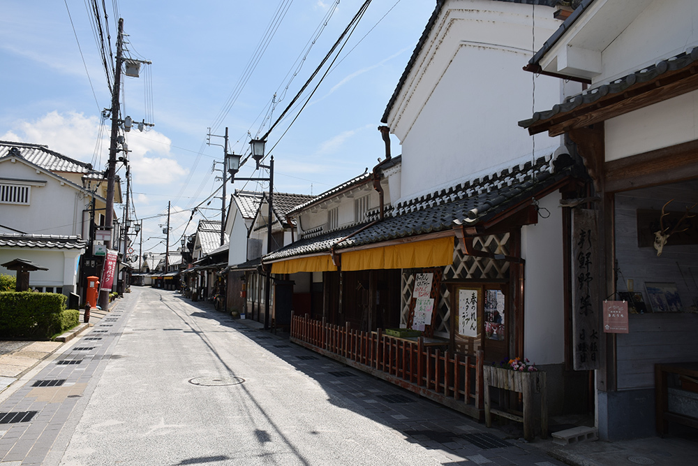 丹波国篠山城跡を歩く。 その7 ~河原町妻入商家群~_e0158128_17334098.jpg