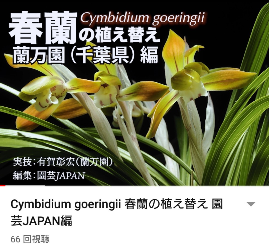 お知らせ 園芸japan Youtube動画配信開始 蘭万園日記 お知らせ 園芸japan Youtube動画配信開始 蘭万園日記