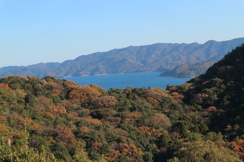 久々の里山歩き!_e0272335_1741551.jpg