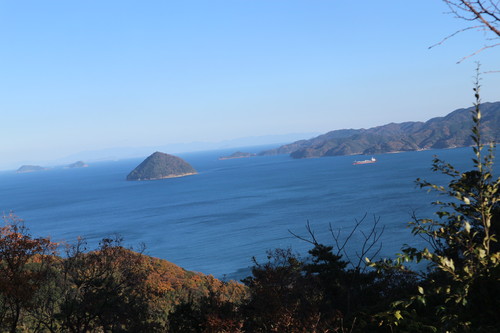 久々の里山歩き!_e0272335_18571485.jpg