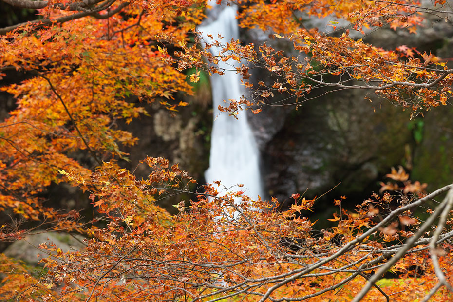 阿瀬渓谷の紅葉_c0067040_23203047.jpg