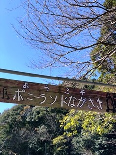 f0152061_16422389.jpeg