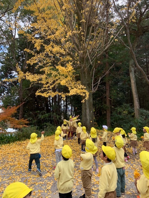 もういくつねると、、、_a0051662_16392537.jpeg