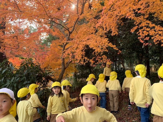 もういくつねると、、、_a0051662_16393030.jpeg