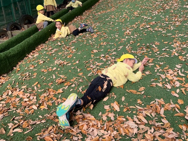 もういくつねると、、、_a0051662_16393899.jpeg