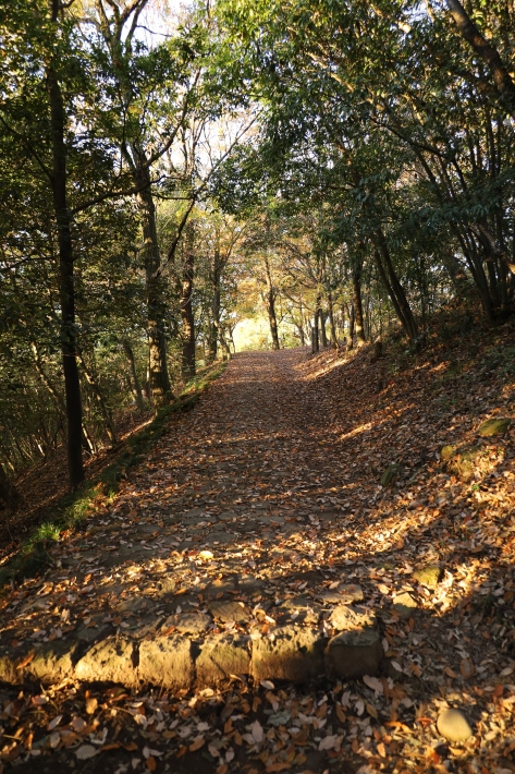 太田金山のあれこれ(2) ～金山城跡～ (2019/12/3撮影)_b0369971_09440318.jpg