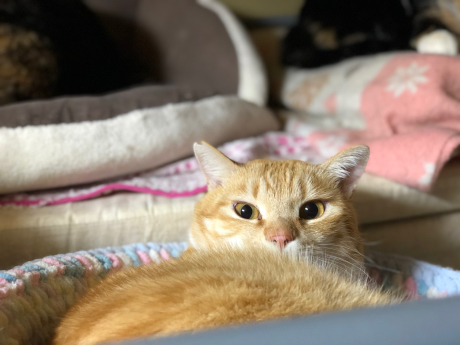 あの鳥さんに会いたい!②_e0355177_14380321.jpg