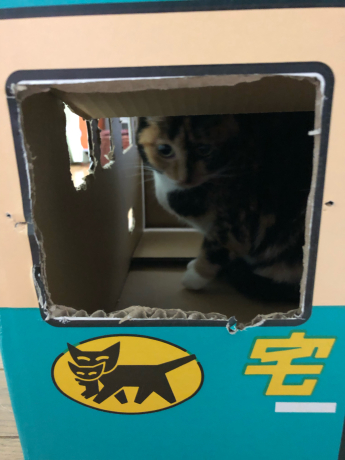 あの鳥さんに会いたい!②_e0355177_14414083.jpg