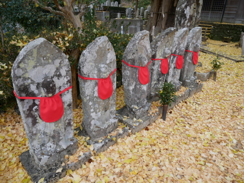 古座川の大銀杏_f0054677_08532477.jpeg