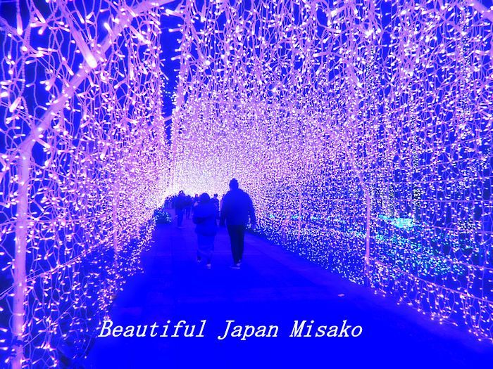 このトンネルから出てきたのはローランドだった・゚☆、・:`☆・・゚・゚☆。_c0067206_08511433.jpg