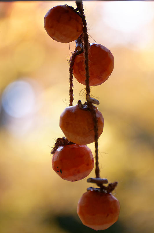 2019京都の紅葉・洛西　金蔵寺　其の二_f0032011_19472126.jpg