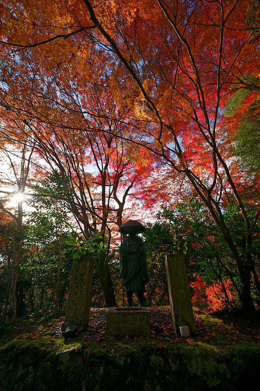 2019京都の紅葉・洛西　金蔵寺　其の二_f0032011_19472190.jpg