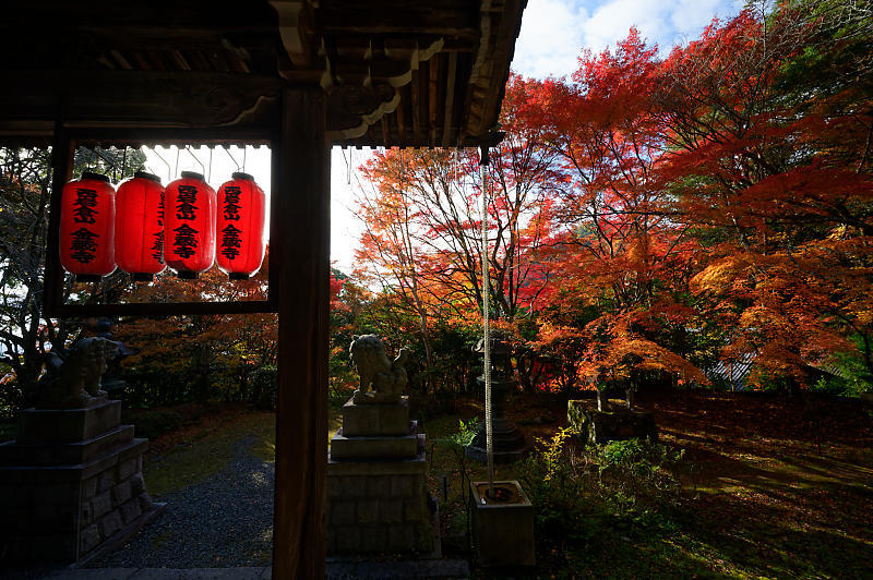 2019京都の紅葉・洛西　金蔵寺　其の二_f0032011_19522338.jpg