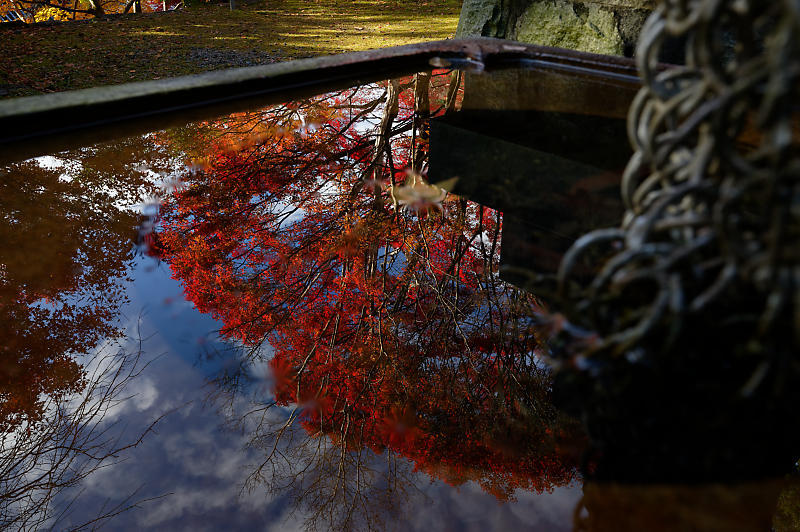 2019京都の紅葉・洛西　金蔵寺　其の二_f0032011_19522358.jpg