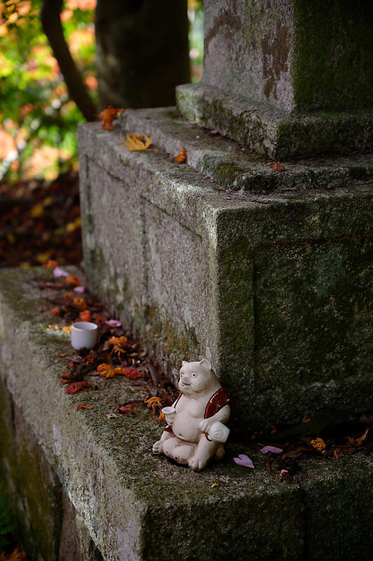 2019京都の紅葉・洛西　金蔵寺　其の二_f0032011_19522434.jpg