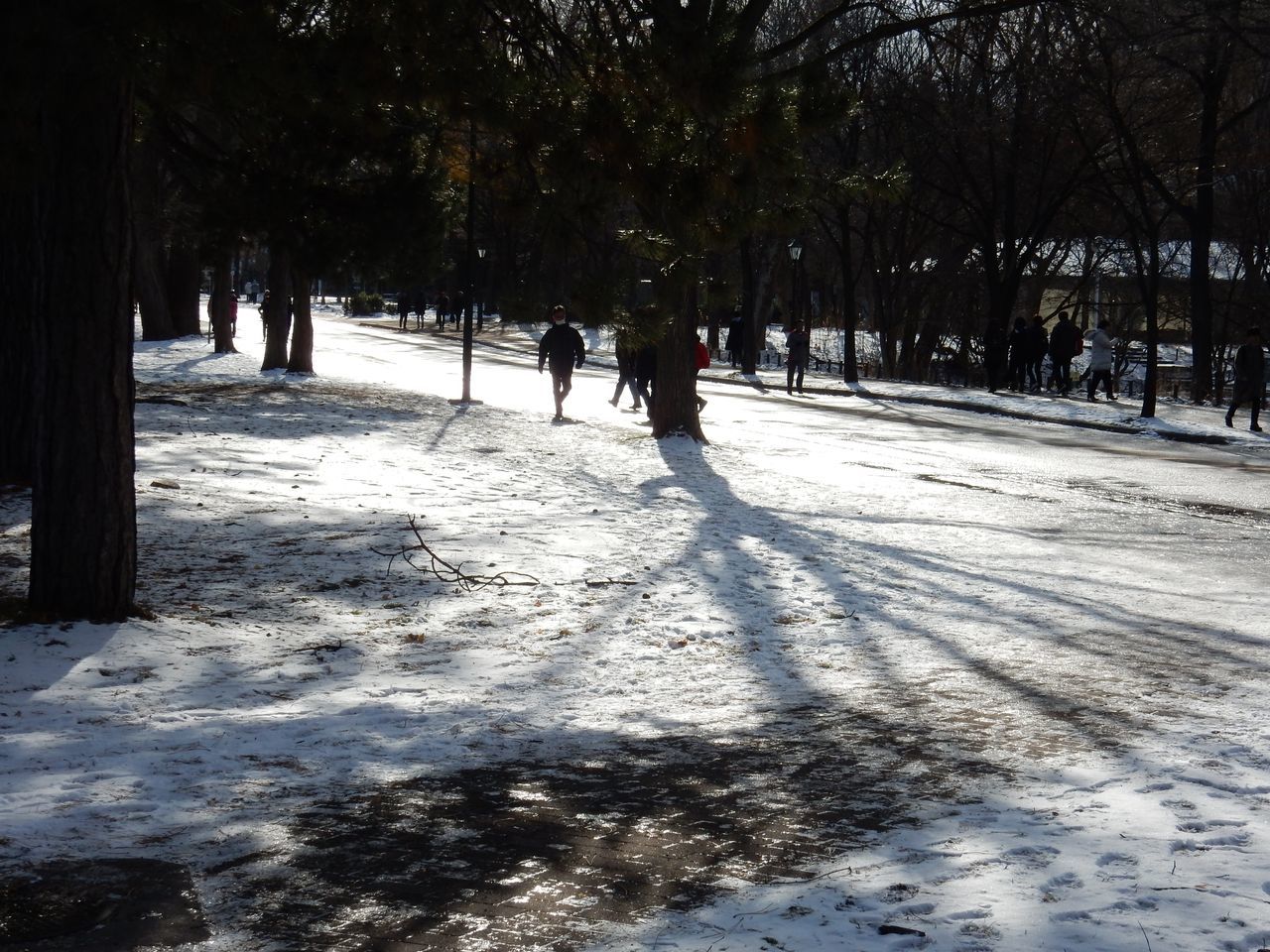 午後から北大へ_c0025115_21470821.jpg