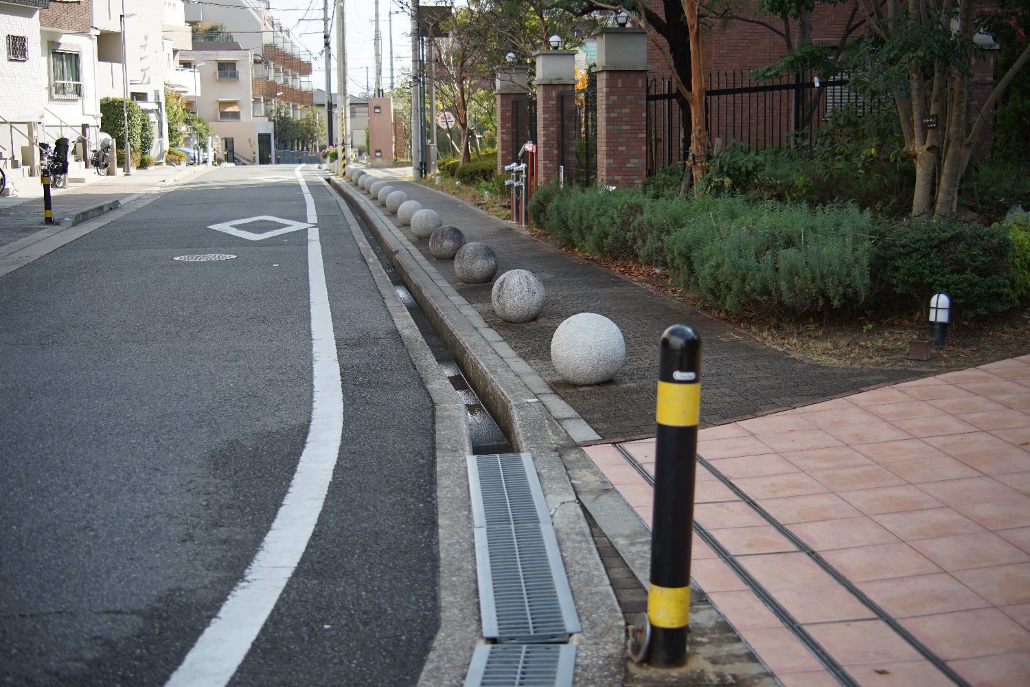 SMC ペンタックス ズーム 45-125mm で 散歩_b0069128_12185703.jpg