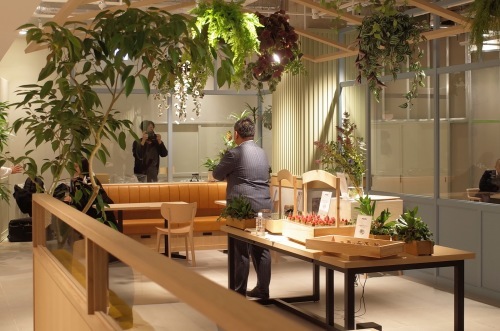 IZAMESHI Table 本日オープン_d0004728_15452453.jpg
