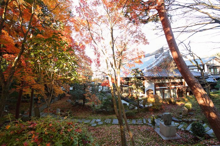 紅葉の京都2019 －東福寺正覚庵 庭園の早朝特別拝観－_b0169330_2322756.jpg
