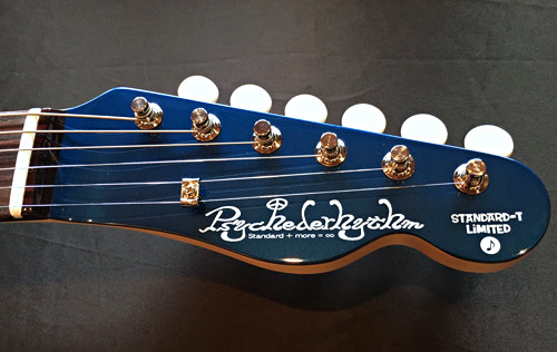 「Blue Cosmos MetallicのSTD-T」の1本目が完成です!_e0053731_17271671.jpeg