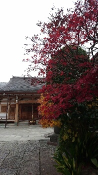 東覚寺さん 今年最後のレッスン_d0256145_18023358.jpg