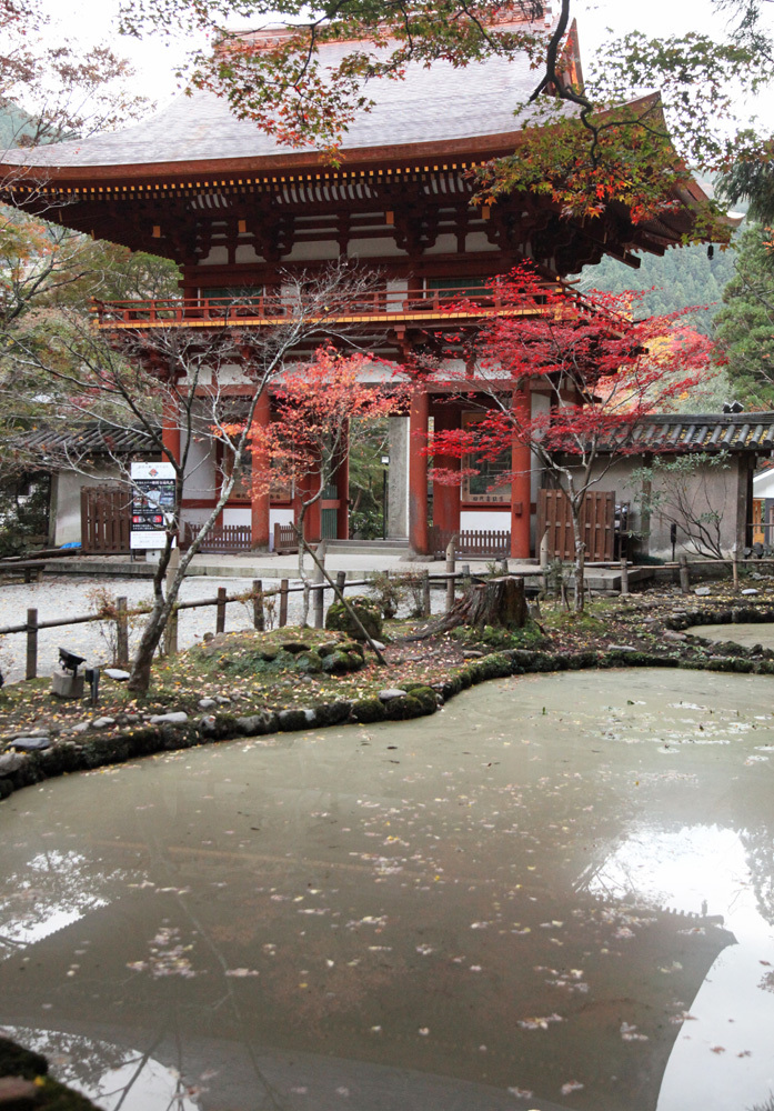 宇陀市　室生寺　紅葉　２_c0108146_22194308.jpg