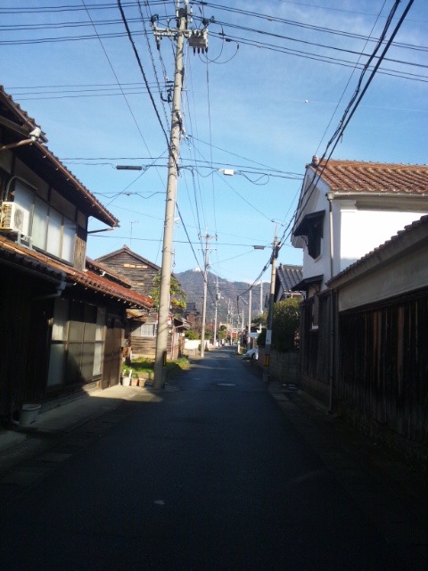 今日のここあん_d0131255_15545863.jpg