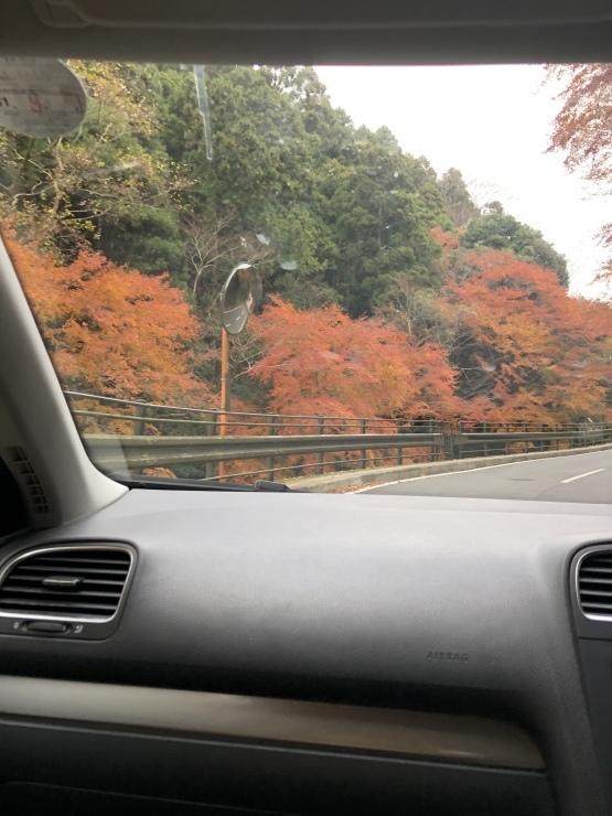2019年１２月１３日　ムーンという色_b0098584_12491067.jpeg
