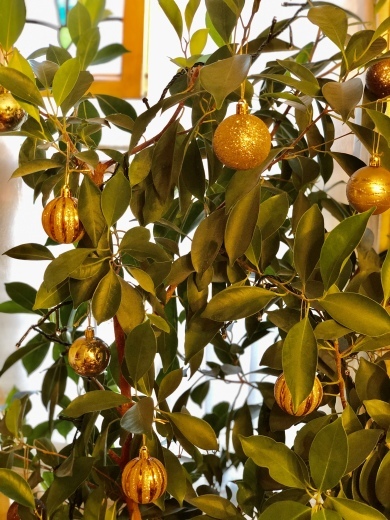 我が家のささやかなクリスマス🎄_a0213806_17064066.jpeg