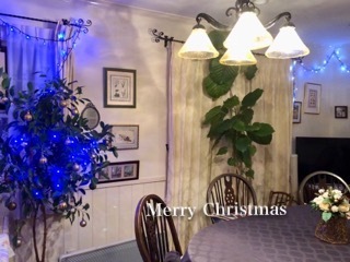 我が家のささやかなクリスマス🎄_a0213806_17065977.jpeg