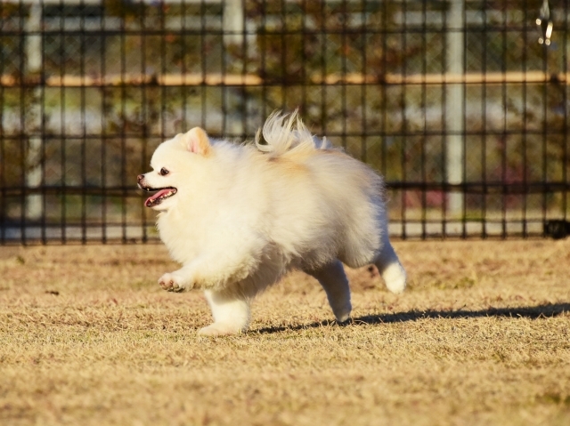 試してみよう_d0360206_00342337.jpg