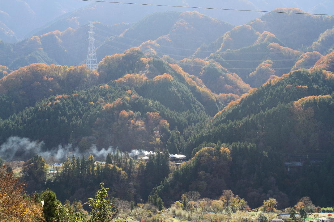 重なり合う紅葉 - 2019年晩秋・秩父鉄道 -_b0190710_18282309.jpg