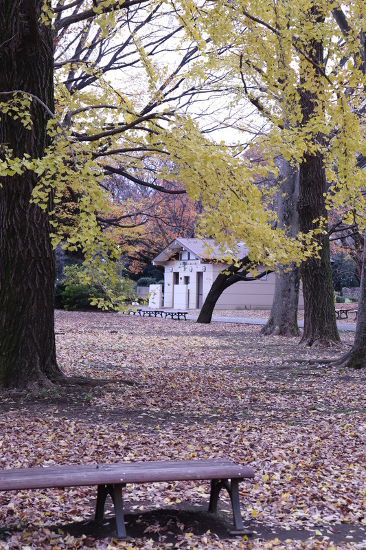東京都国分寺～小金井公園内散策します。_a0214329_1725313.jpg
