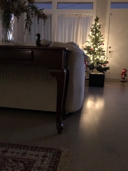 クリスマスのインテリア小物たち_d0269832_06101279.jpeg