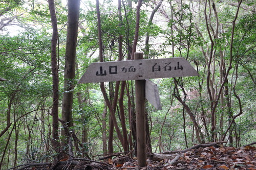 白石山に登る(臼杵市下ノ江)_e0272335_1733797.jpg