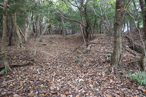 白石山に登る(臼杵市下ノ江)_e0272335_17345225.jpg