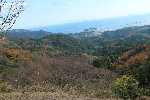 白石山に登る(臼杵市下ノ江)_e0272335_17361528.jpg