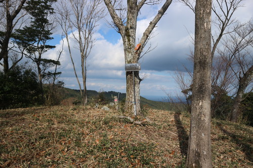 白石山に登る(臼杵市下ノ江)_e0272335_17384366.jpg